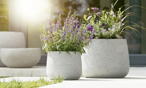 Chậu trồng cây ngoài trời ALKMAAR 52