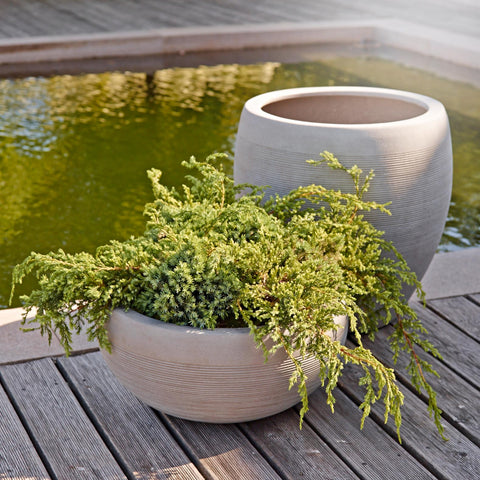 Chậu trồng cây ngoài trời BOLTON 45