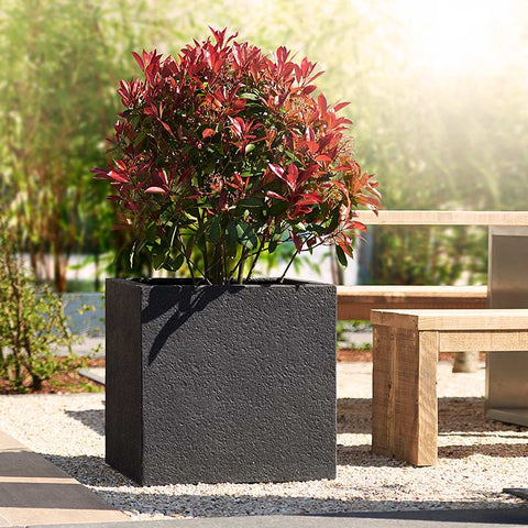 Chậu trồng cây ngoài trời LISBURN 47