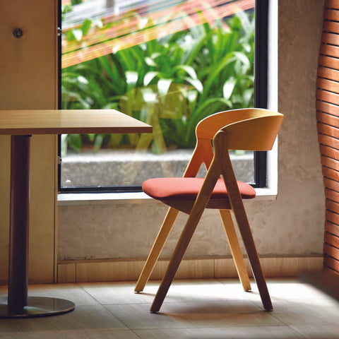 ghế ăn trong nhà birdie