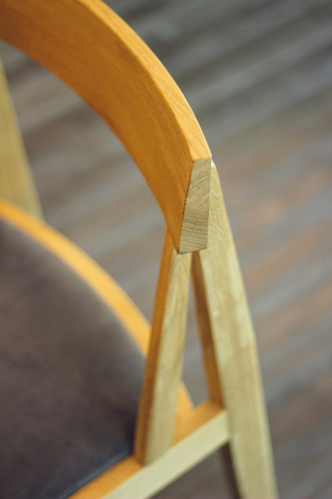 ghế ăn trong nhà astras