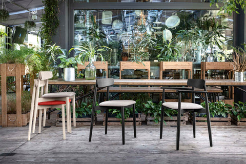 ghế ăn trong nhà, ghế gỗ