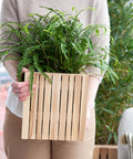 Chậu gỗ size Medium - Cty CP TM TAG chậu cây #